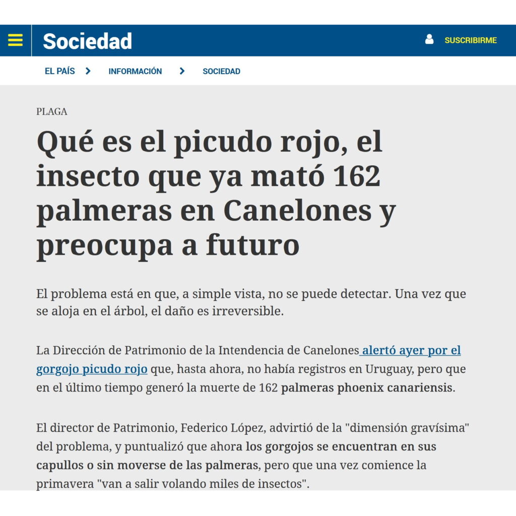 Nota sobre los daños del picudo de El País, Uruguay