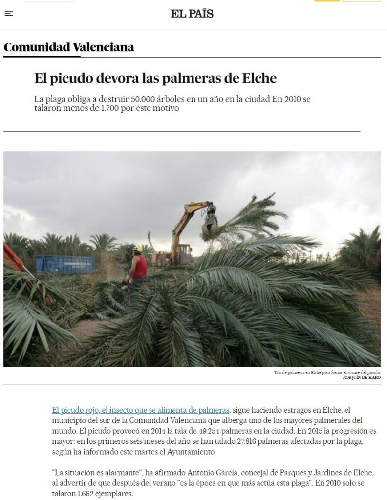 Nota sobre el picudo rojo en Comunidad Valenciana, España