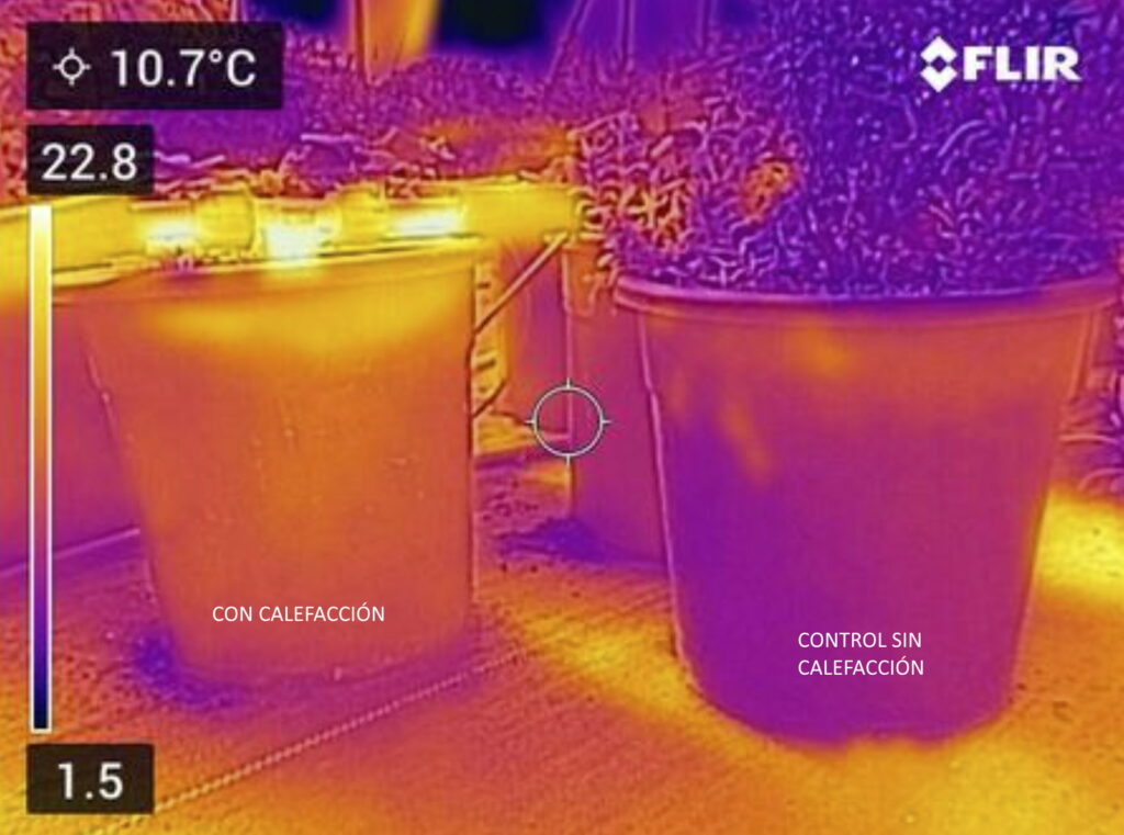 Demostración con cámara térmica de maceta con calefacción del RZTO de Roots versus a maceta de control sin calefacción en 10,7°C y una calefacción de 22.8°C
