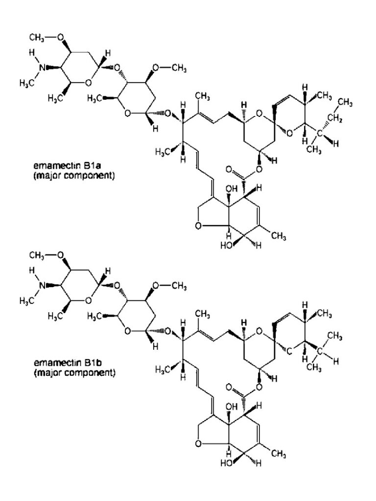 Molécula de la emamectina para el tratamiento del picudo rojo
